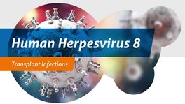 HHV-8 and HHV-6/7 – new real-time PCR kits for the detection of human herpesvirus