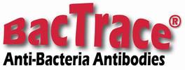 BacTrace Goat Anti-Staphylococcus aureus, unconjugated, polyclonal, 0,1 mg, Reference: 5310-0339
