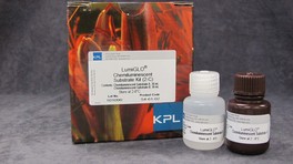 LumiGLO Peroxidase Chemiluminescent Substrate Kit, 6 x 120 ml, Reference: 5430-0041