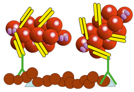 Histofine Simple Stain AP (M) Anti-Mouse, 500 T., AP, 3 x 17 ml, Artikel-Nr.: 414242F