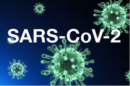 SARS-CoV-2 PCR Kit